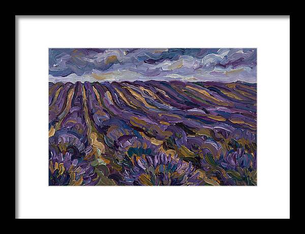 Lavender Fields Under Cloudy Skies