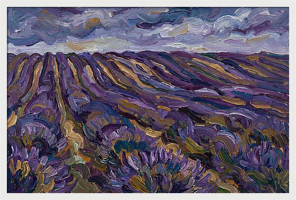 Lavender Fields Under Cloudy Skies
