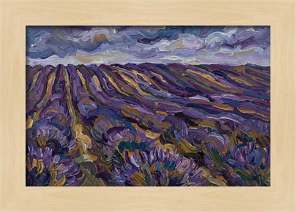 Lavender Fields Under Cloudy Skies