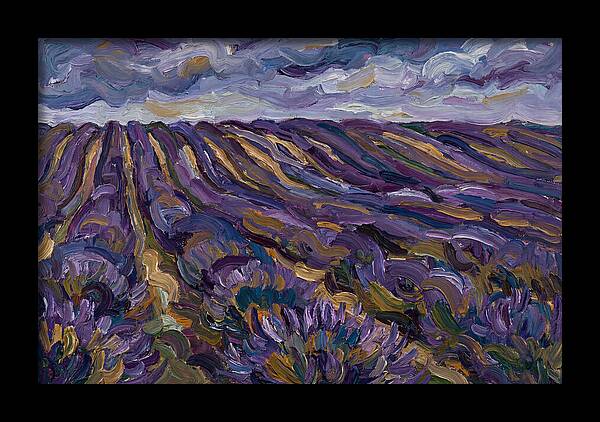 Lavender Fields Under Cloudy Skies