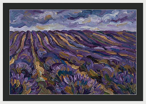 Lavender Fields Under Cloudy Skies