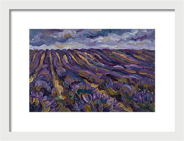 Lavender Fields Under Cloudy Skies
