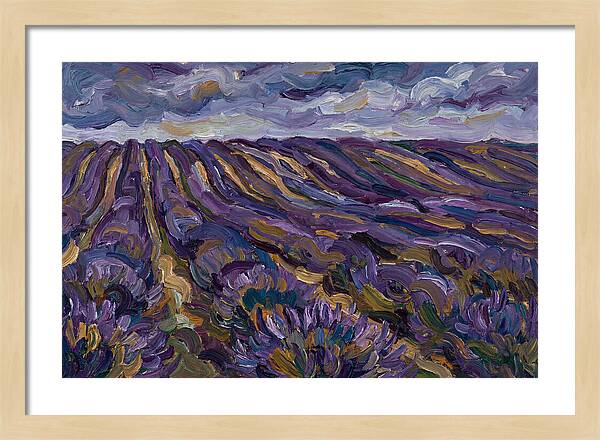 Lavender Fields Under Cloudy Skies