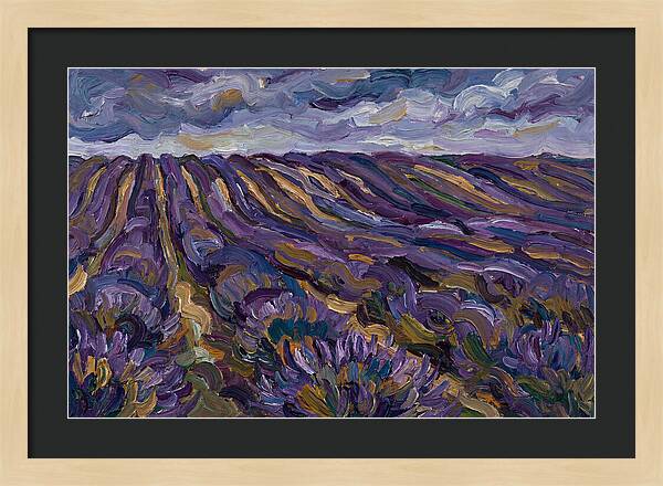 Lavender Fields Under Cloudy Skies