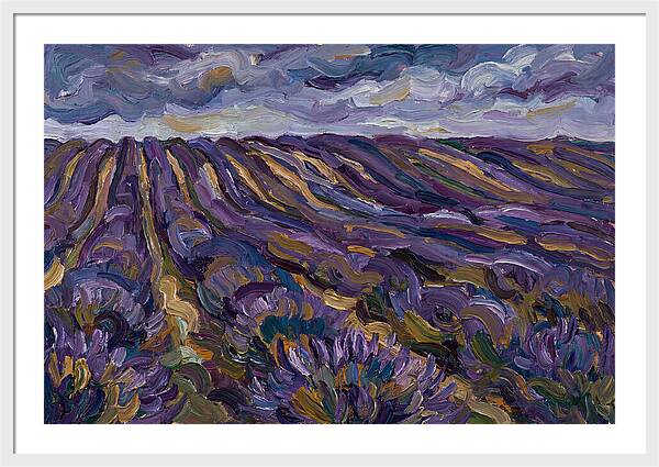 Lavender Fields Under Cloudy Skies