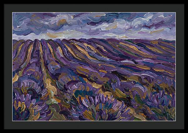 Lavender Fields Under Cloudy Skies