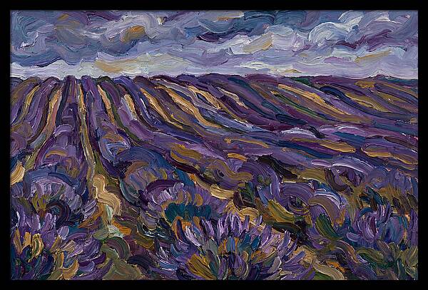 Lavender Fields Under Cloudy Skies