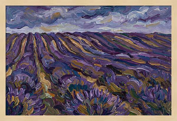 Lavender Fields Under Cloudy Skies