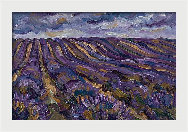 Lavender Fields Under Cloudy Skies