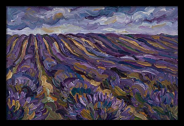 Lavender Fields Under Cloudy Skies