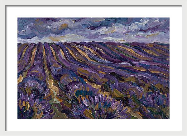 Lavender Fields Under Cloudy Skies