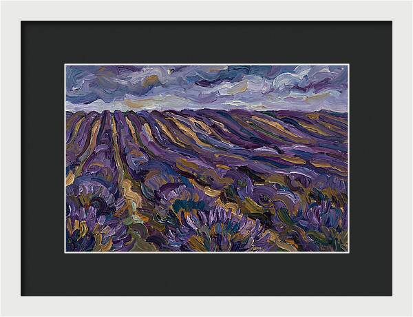 Lavender Fields Under Cloudy Skies