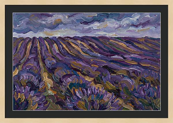 Lavender Fields Under Cloudy Skies