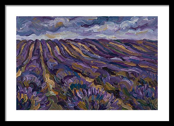 Lavender Fields Under Cloudy Skies