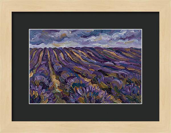 Lavender Fields Under Cloudy Skies