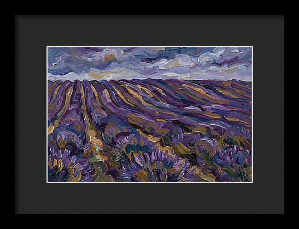 Lavender Fields Under Cloudy Skies