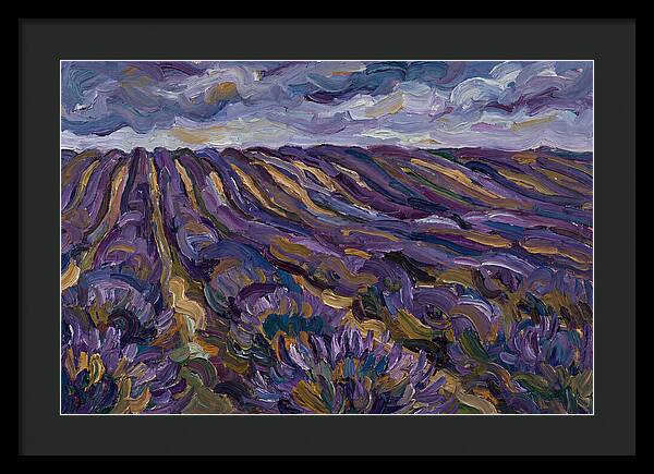 Lavender Fields Under Cloudy Skies