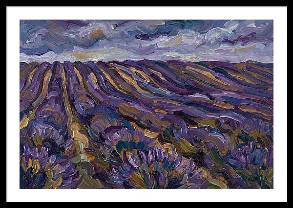 Lavender Fields Under Cloudy Skies