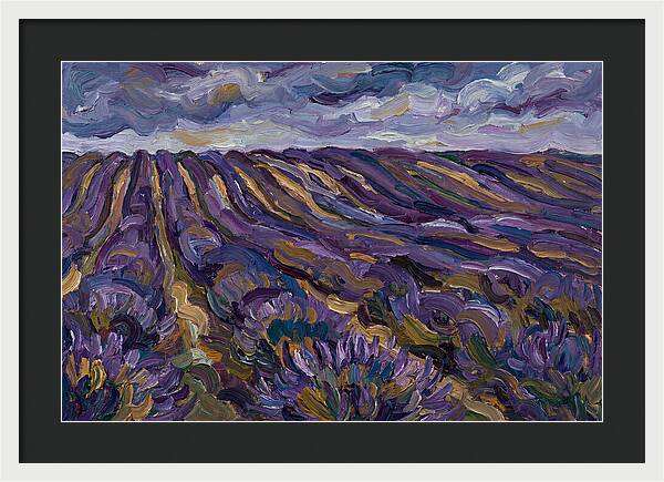 Lavender Fields Under Cloudy Skies