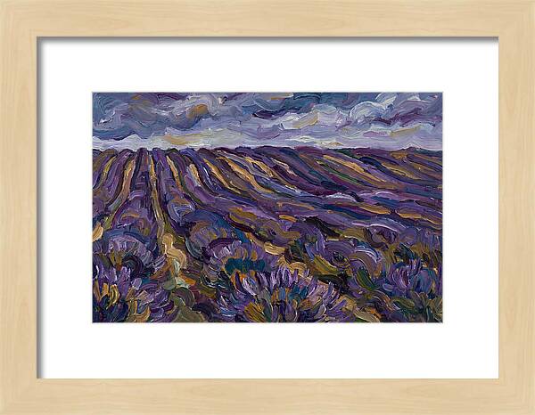 Lavender Fields Under Cloudy Skies