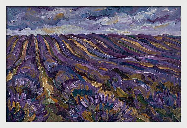 Lavender Fields Under Cloudy Skies