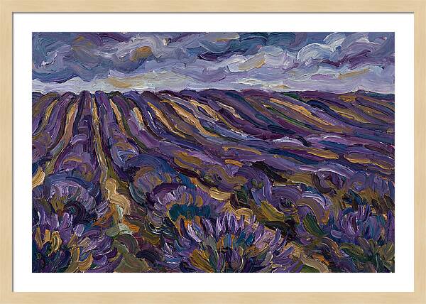 Lavender Fields Under Cloudy Skies