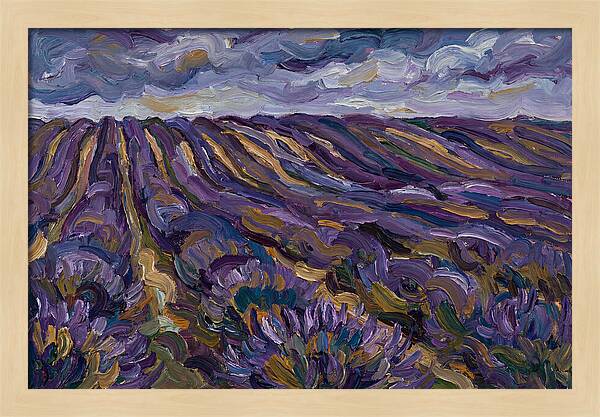Lavender Fields Under Cloudy Skies