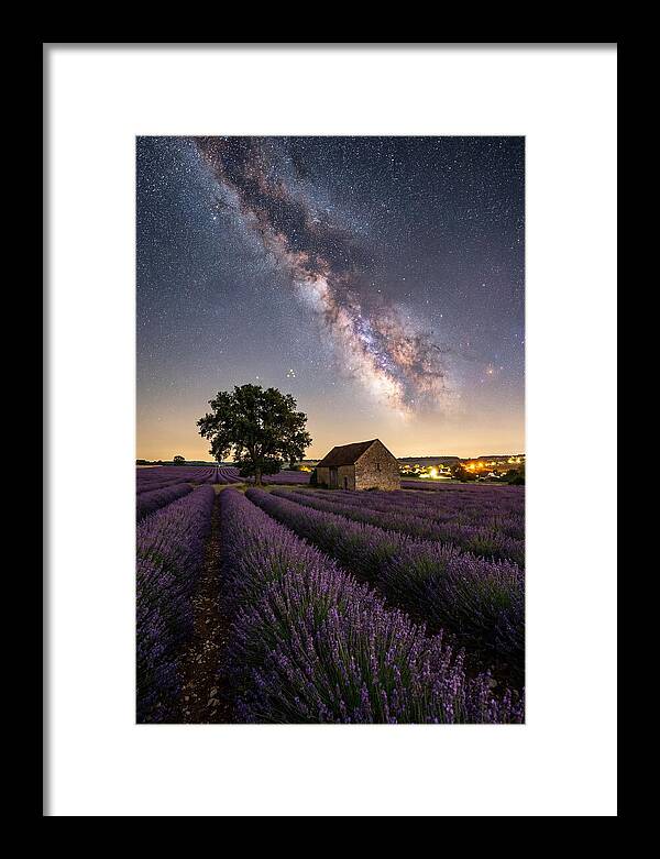 Lavender Fields Under Starlit Sky
