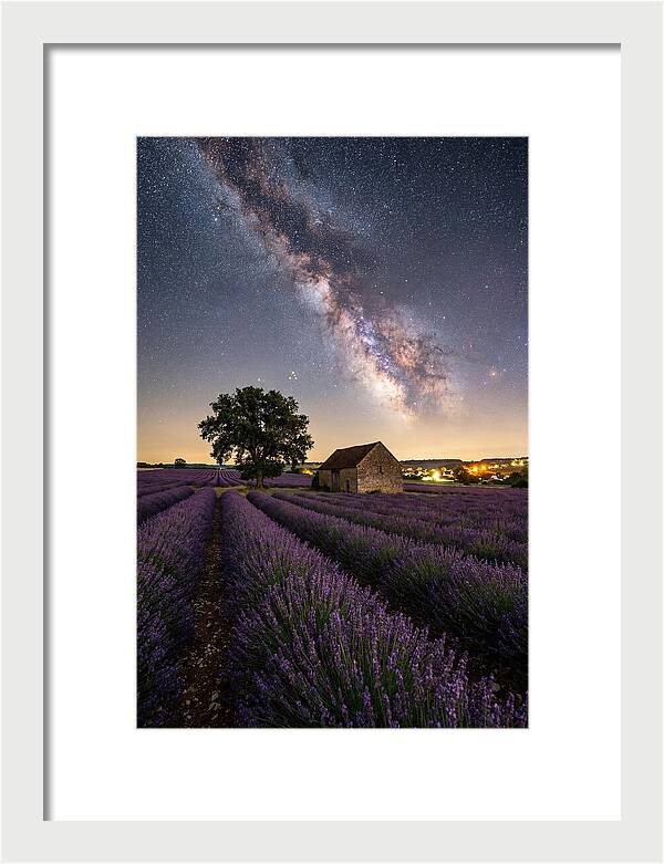 Lavender Fields Under Starlit Sky