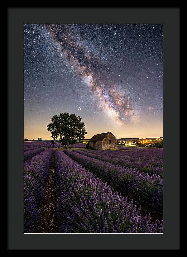 Lavender Fields Under Starlit Sky