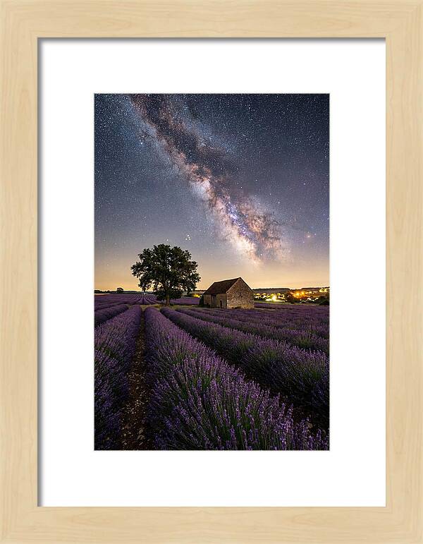 Lavender Fields Under Starlit Sky