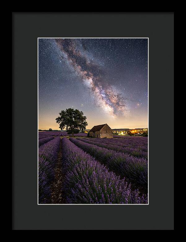 Lavender Fields Under Starlit Sky