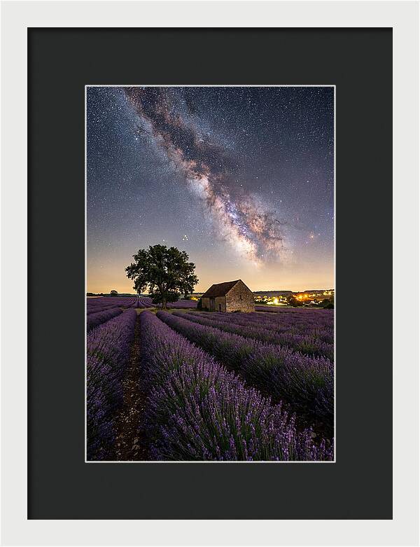Lavender Fields Under Starlit Sky