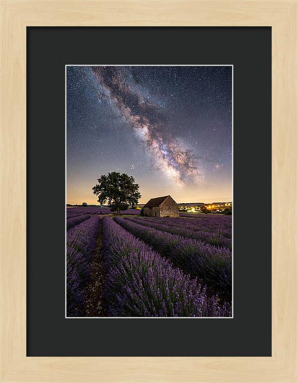 Lavender Fields Under Starlit Sky