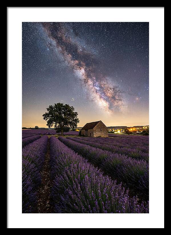 Lavender Fields Under Starlit Sky