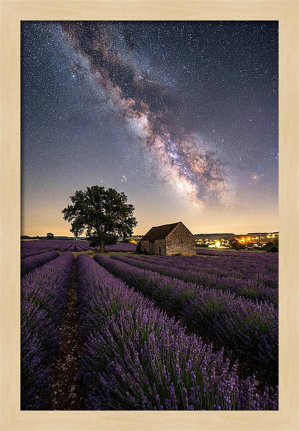 Lavender Fields Under Starlit Sky