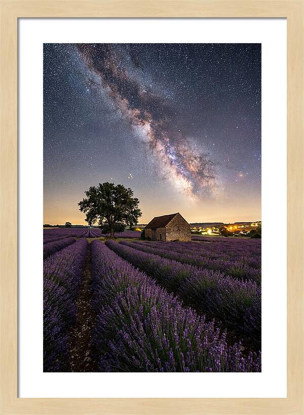 Lavender Fields Under Starlit Sky
