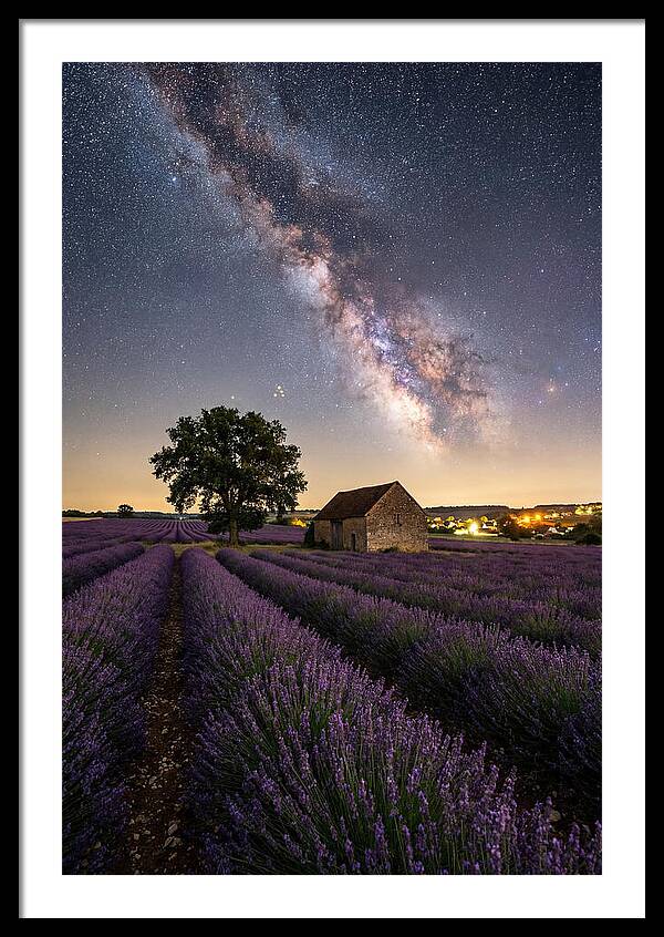 Lavender Fields Under Starlit Sky