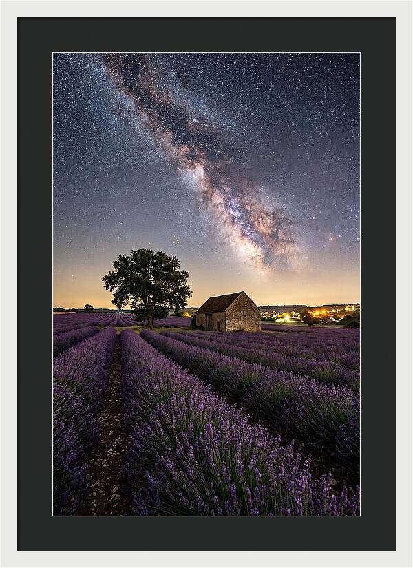 Lavender Fields Under Starlit Sky