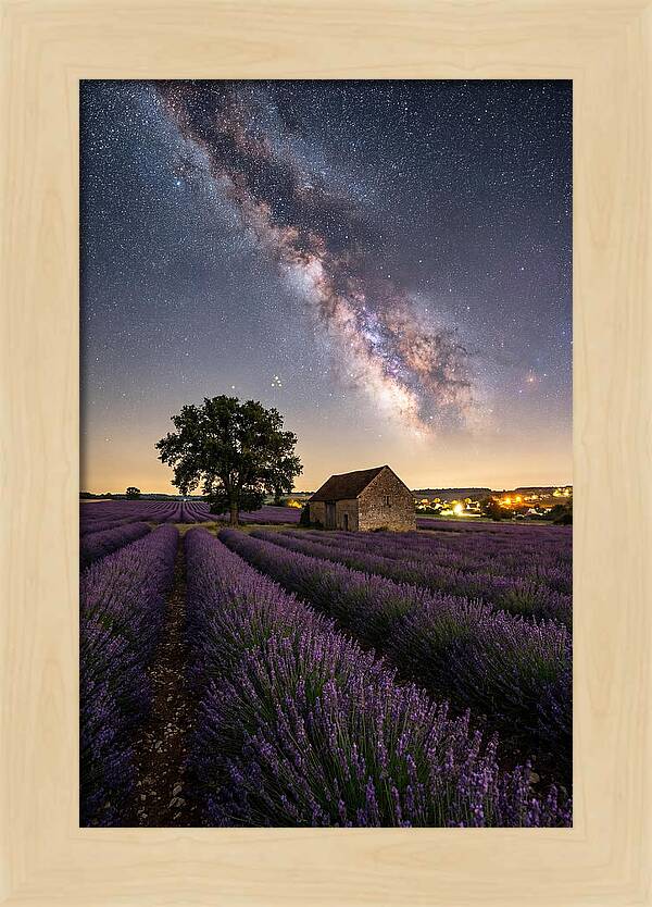 Lavender Fields Under Starlit Sky