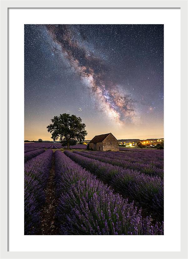 Lavender Fields Under Starlit Sky