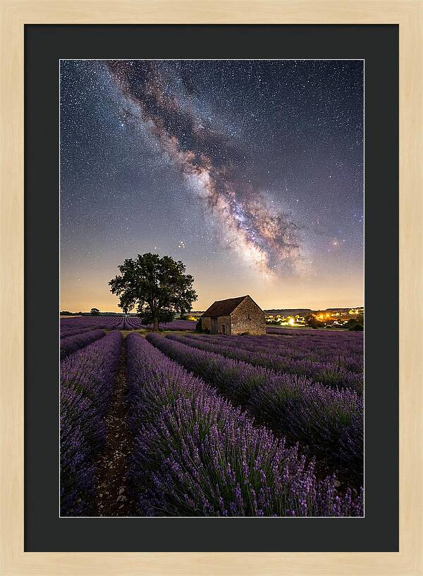 Lavender Fields Under Starlit Sky