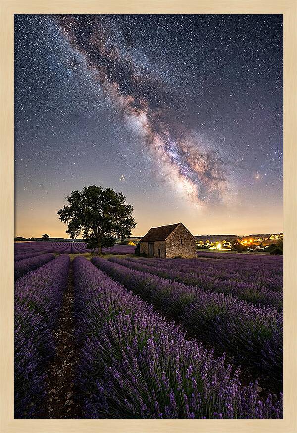 Lavender Fields Under Starlit Sky