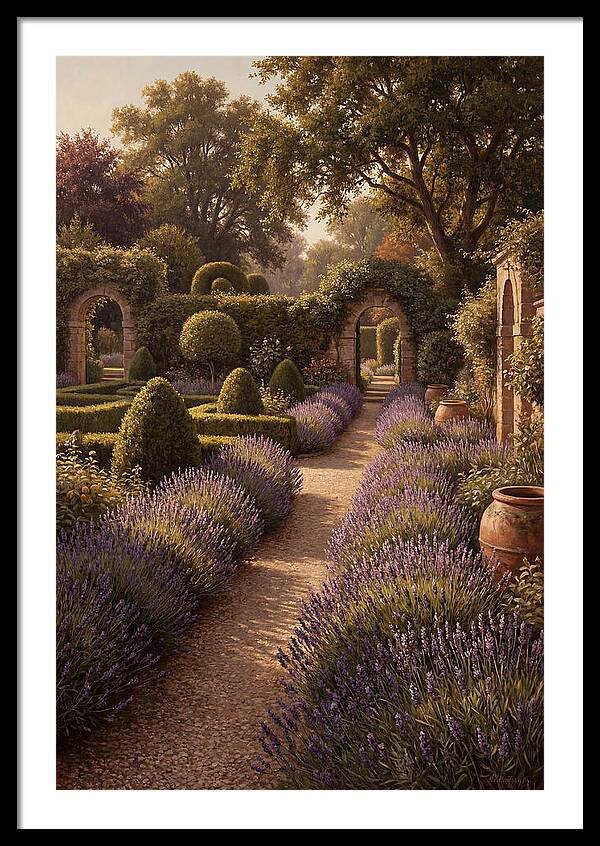 Lavender Hedge Path Through Formal Garden