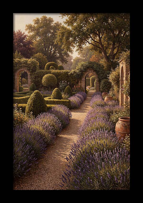 Lavender Hedge Path Through Formal Garden