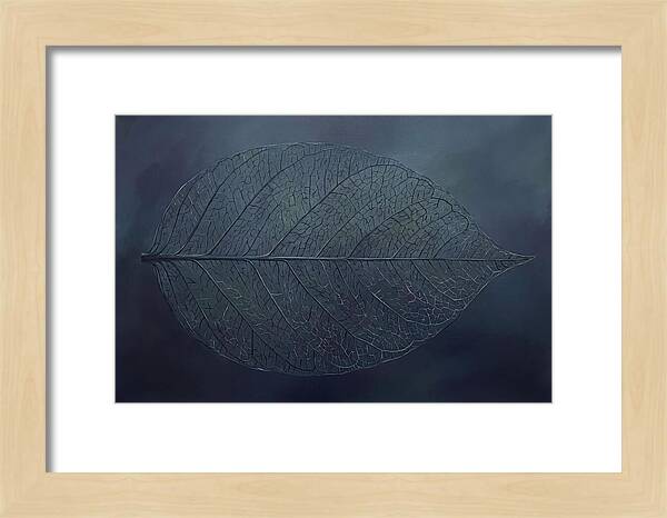 Leaf Skeleton Elegance