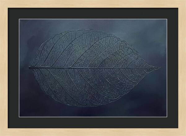 Leaf Skeleton Elegance