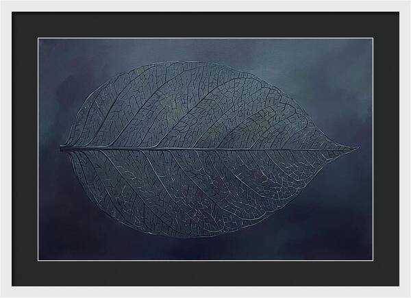 Leaf Skeleton Elegance