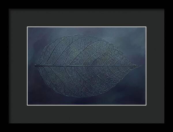 Leaf Skeleton Elegance