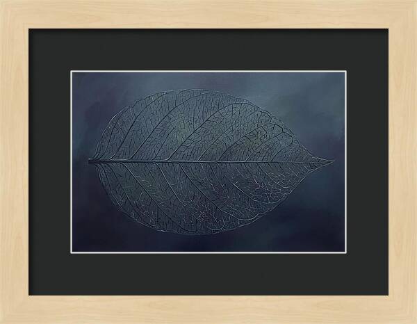 Leaf Skeleton Elegance